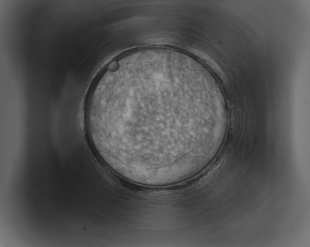 X0000100471031200807111037