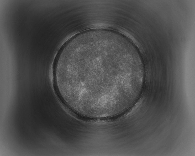 X0000100471034200807111037