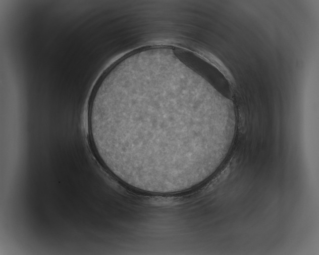 X0000100471036200807111037