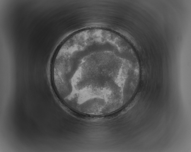 X0000100471038200807111037