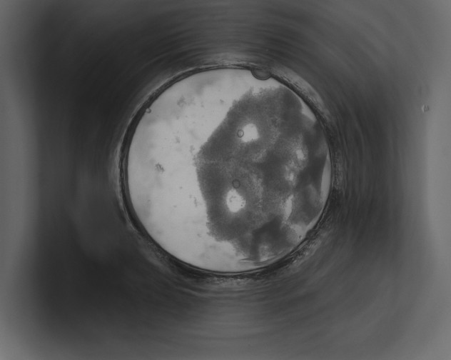 X0000100471039200807111037