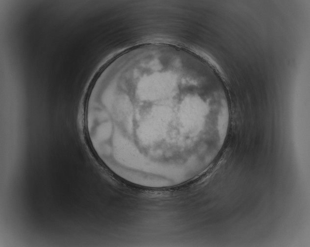 X0000100471040200807111037