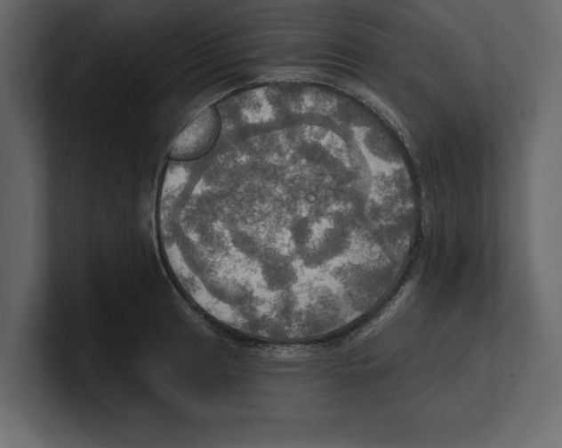 X0000100471041200807111037