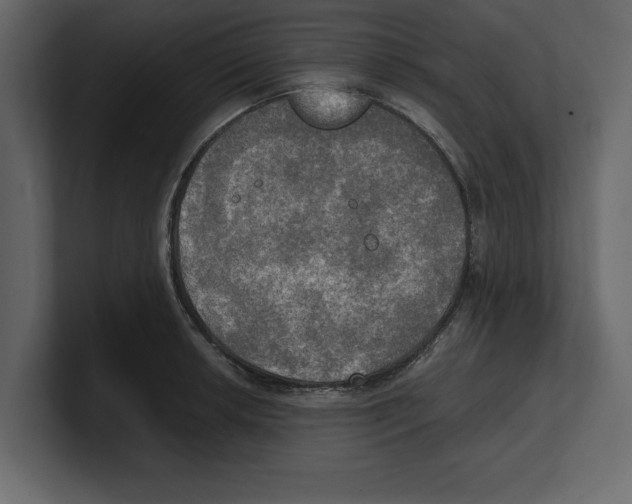 X0000100471042200807111037