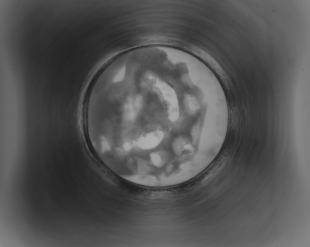 X0000100471043200807111037