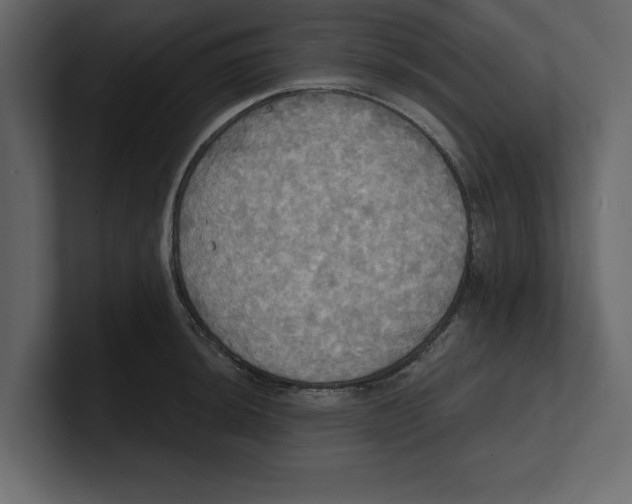 X0000100471044200807111037