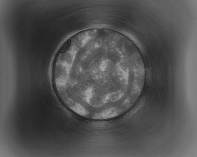 X0000100471046200807111037