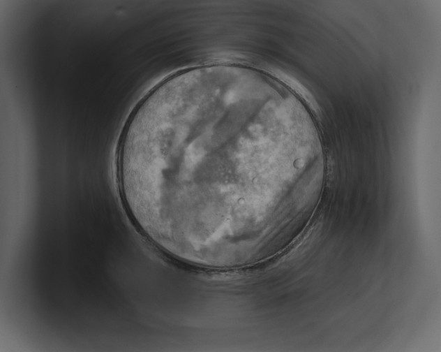 X0000100471047200807111037