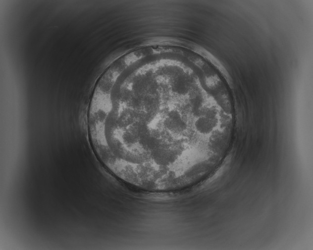 X0000100471049200807111037