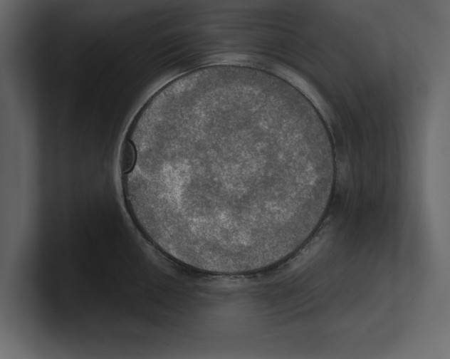 X0000100471050200807111037