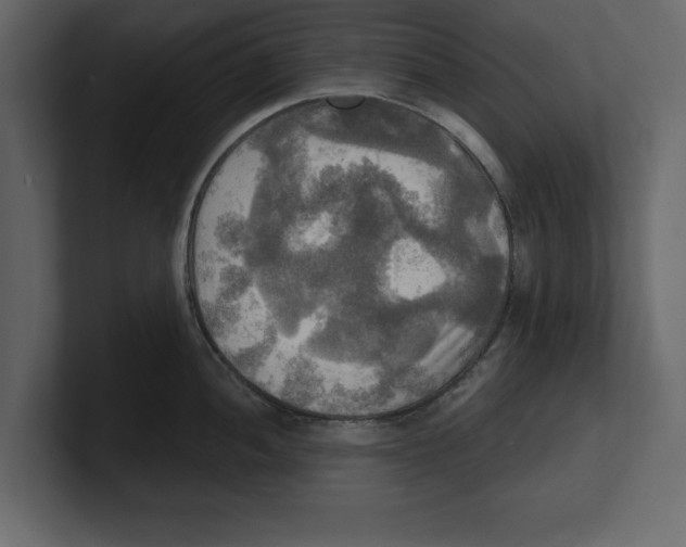 X0000100471052200807111037