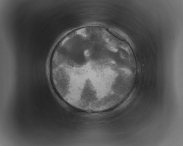 X0000100471054200807111037