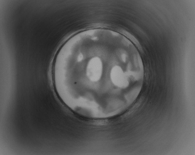 X0000100471055200807111037