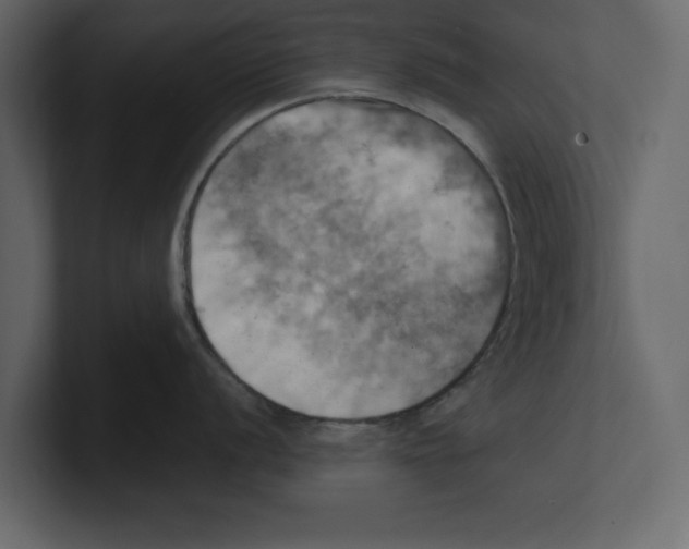 X0000100471056200807111037