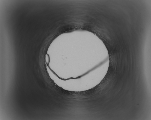 X0000100471057200807111036