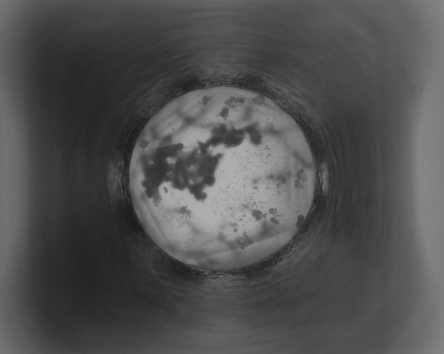 X0000100471059200807111036