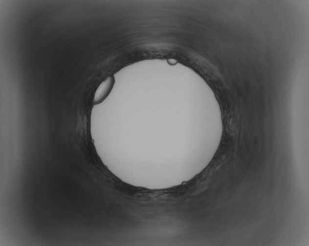 X0000100471061200807111036