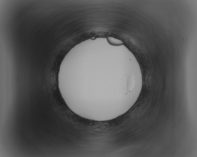 X0000100471062200807111036