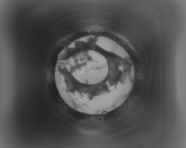 X0000100471063200807111036