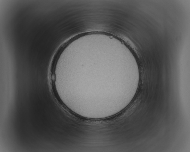 X0000100471072200807111036