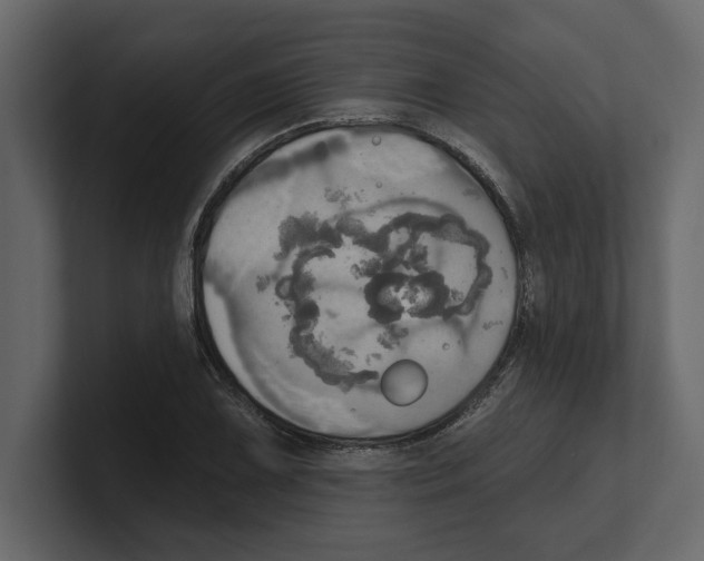 X0000100471075200807111036