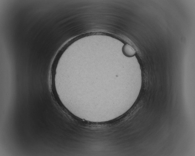 X0000100471076200807111036