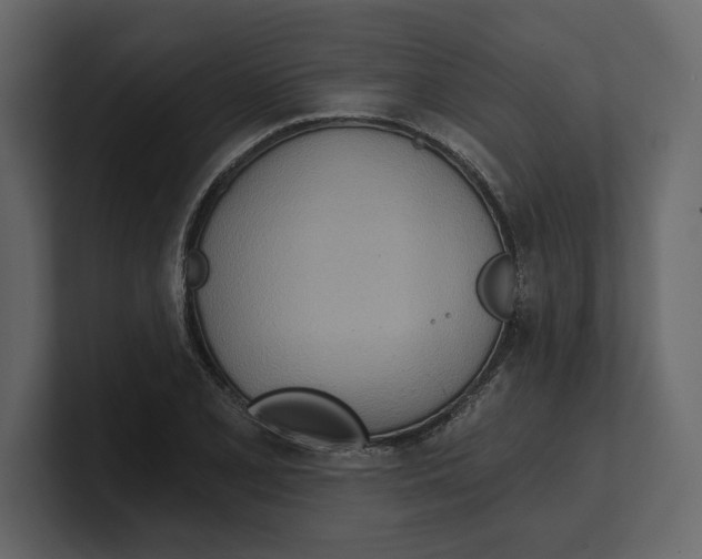 X0000100471077200807111036