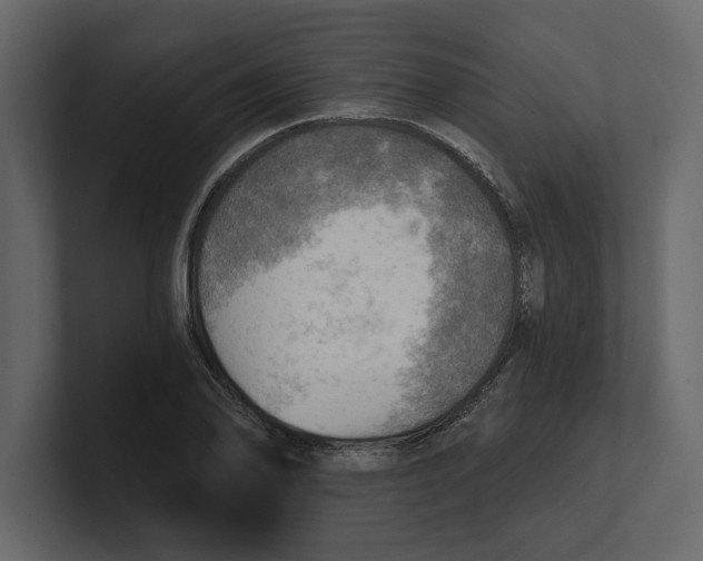 X0000100471078200807111036