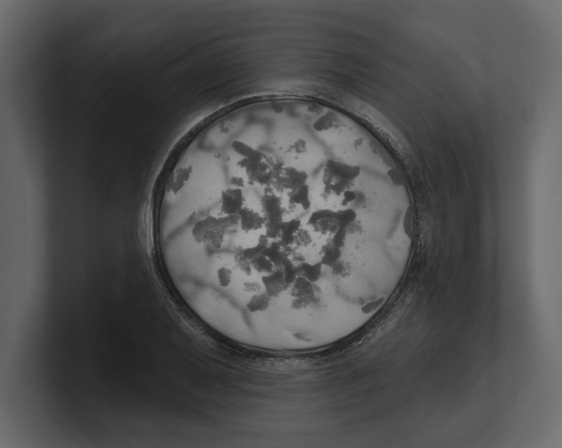 X0000100471079200807111036