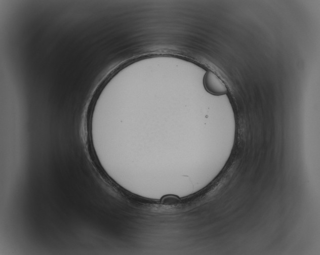 X0000100471082200807111036