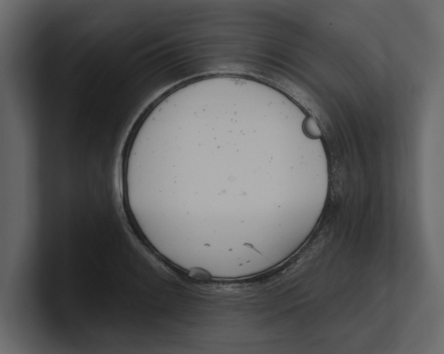 X0000100471084200807111036