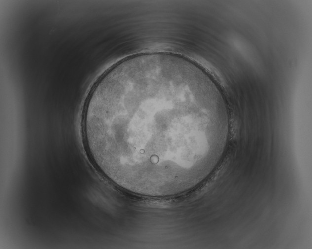 X0000100471086200807111036