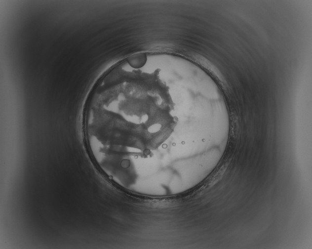 X0000100471087200807111036