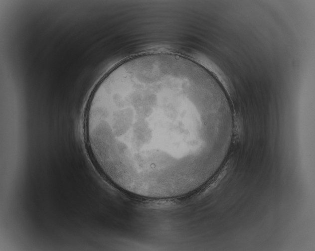 X0000100471090200807111036