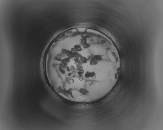 X0000100471091200807111036