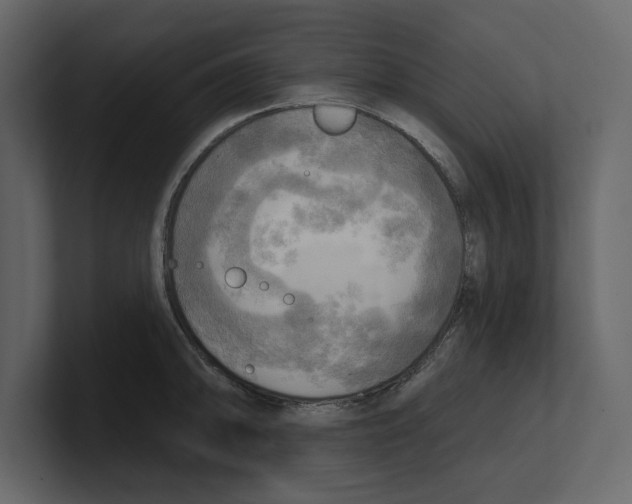 X0000100471094200807111036