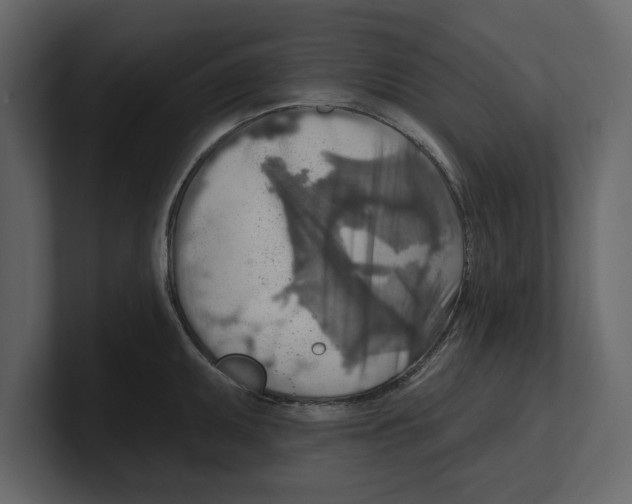 X0000100471095200807111036