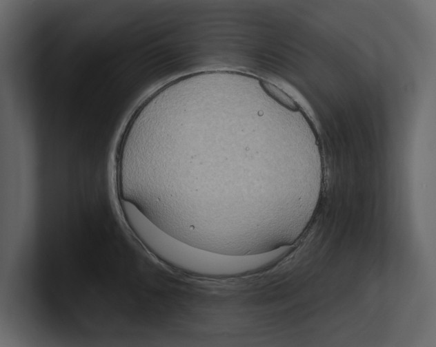 X0000100471096200807111036