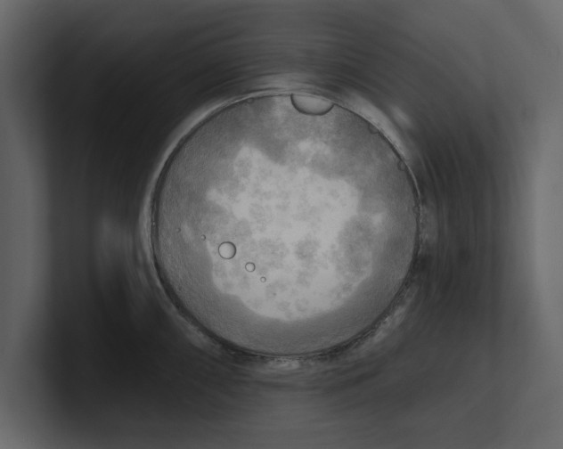 X0000100471098200807111036