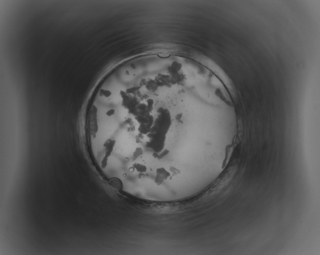 X0000100471099200807111036