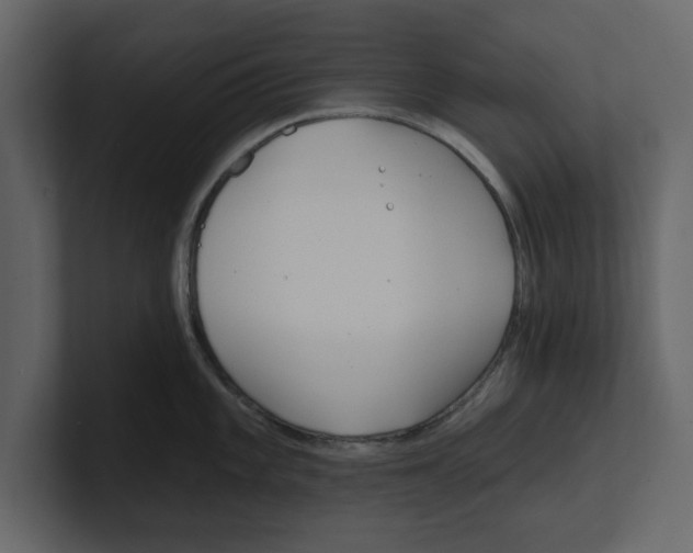 X0000100471101200807111036