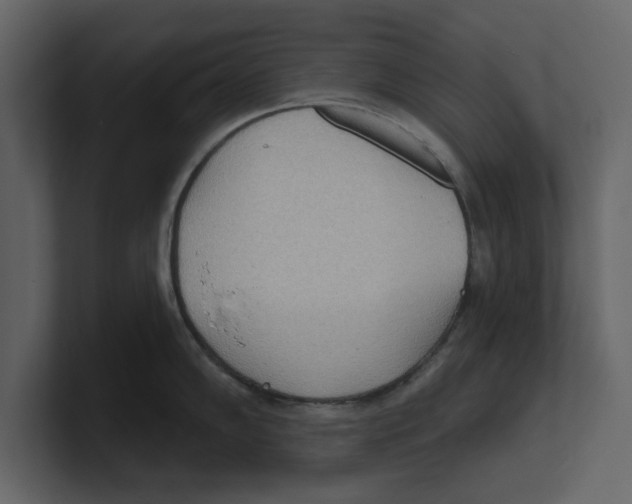 X0000100471102200807111036