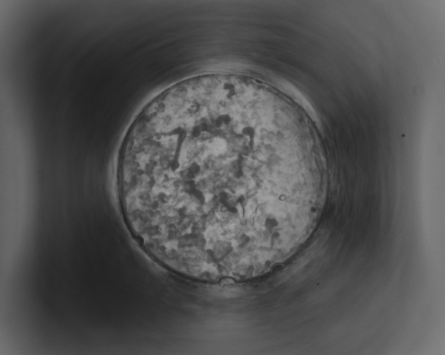 X0000100471103200807111036