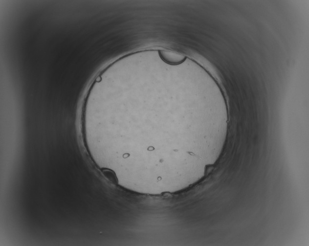 X0000100471104200807111036