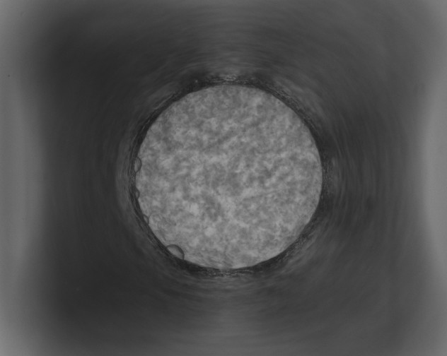 X0000100471105200807111035