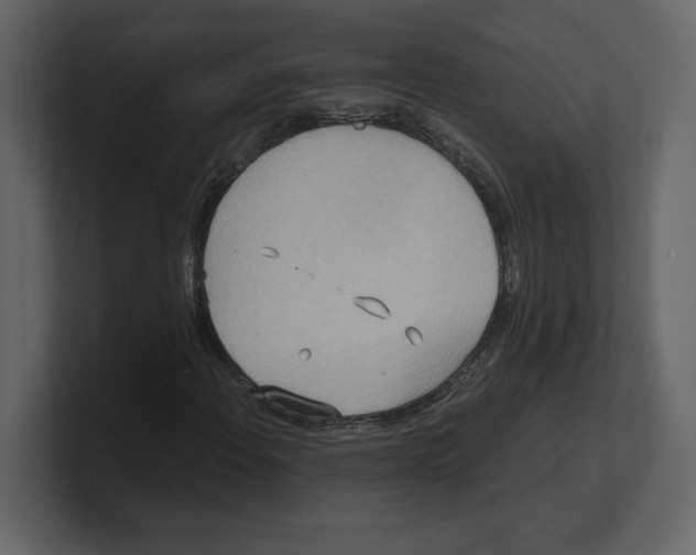 X0000100471108200807111035