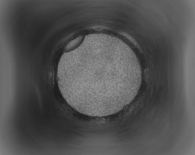 X0000100471111200807111035