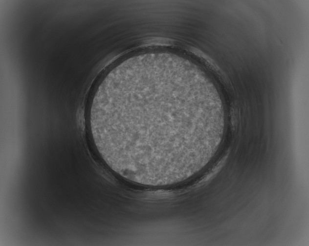 X0000100471113200807111035