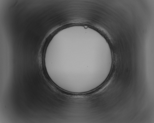 X0000100471114200807111035