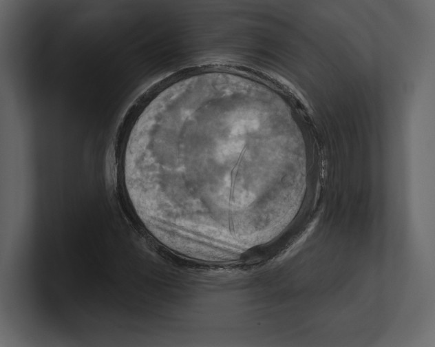 X0000100471117200807111035